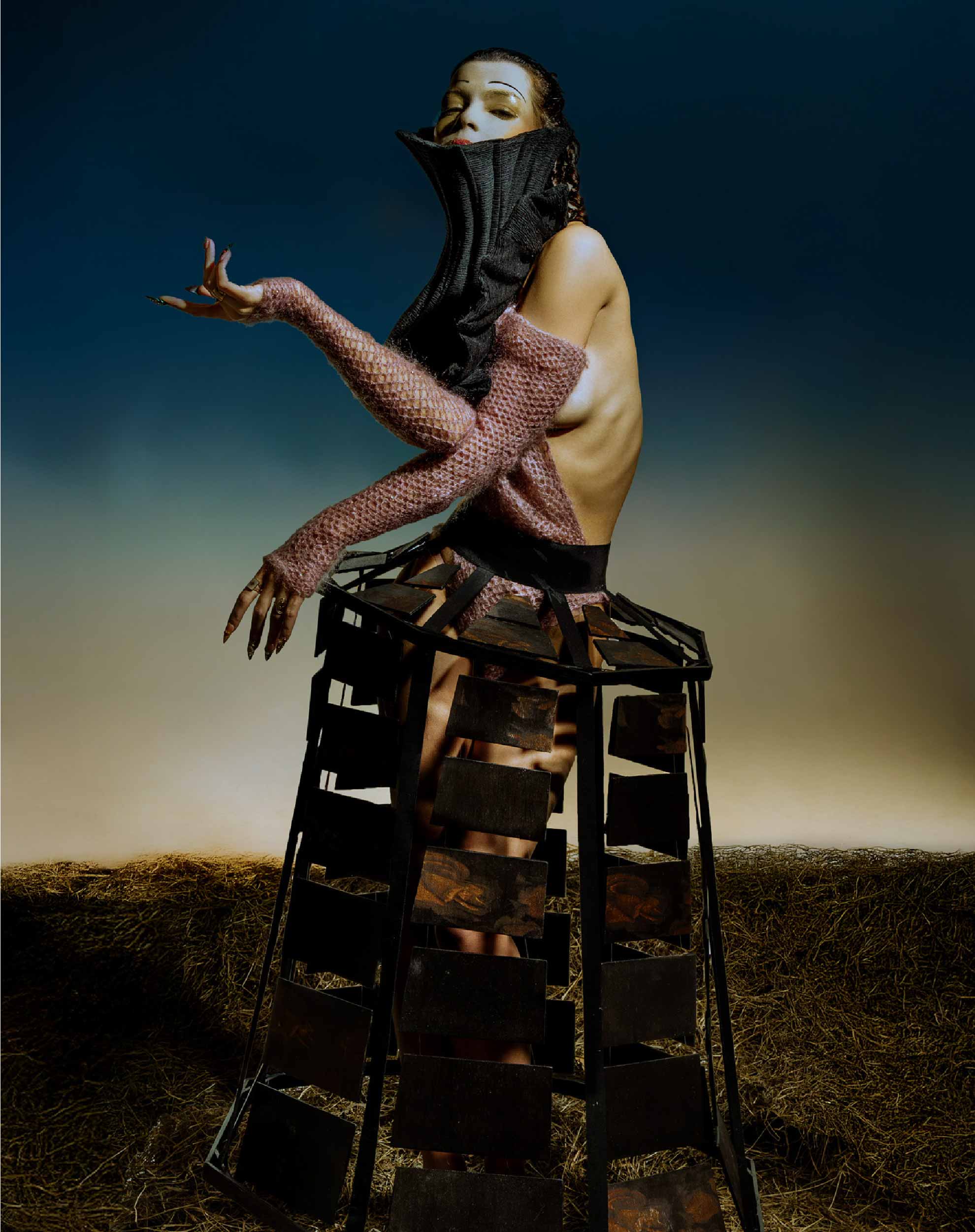 Wild Harvest editorial photo 7